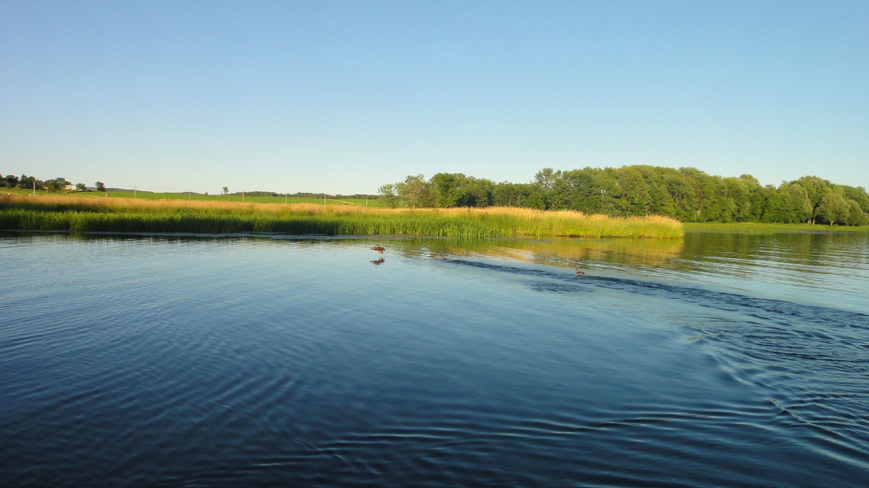 À propos MARINA MANDEVILLE